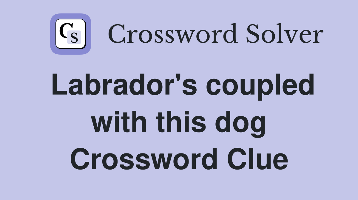 Labrador's coupled with this dog Crossword Clue
