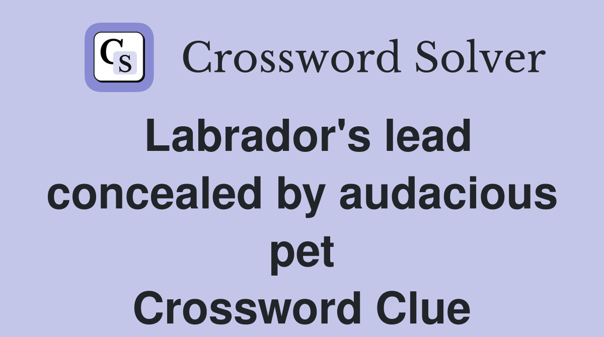 Labrador's lead concealed by audacious pet Crossword Clue