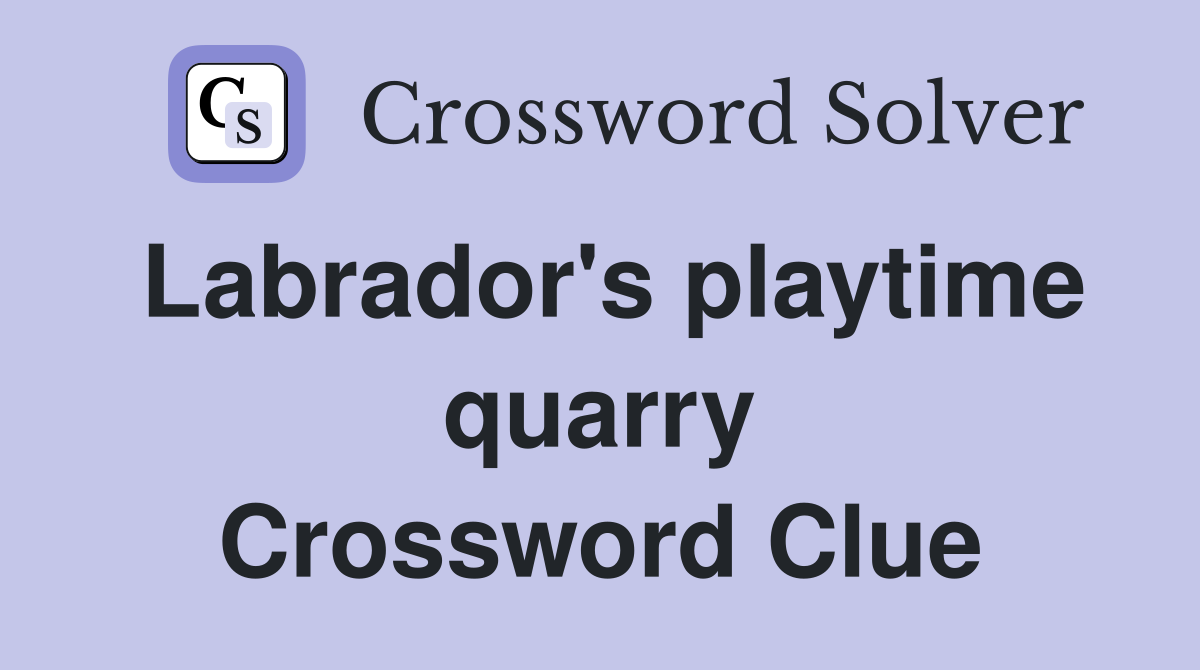 Labrador's playtime quarry Crossword Clue