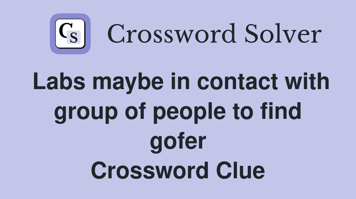 Labs maybe in contact with group of people to find gofer Crossword Clue