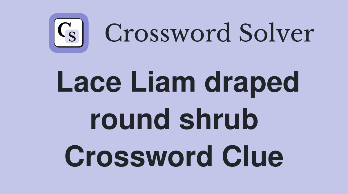 Lace Liam draped round shrub Crossword Clue