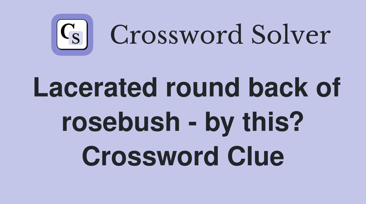 Lacerated round back of rosebush - by this? Crossword Clue
