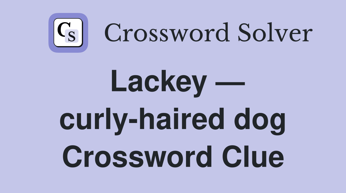 Lackey — curly-haired dog Crossword Clue