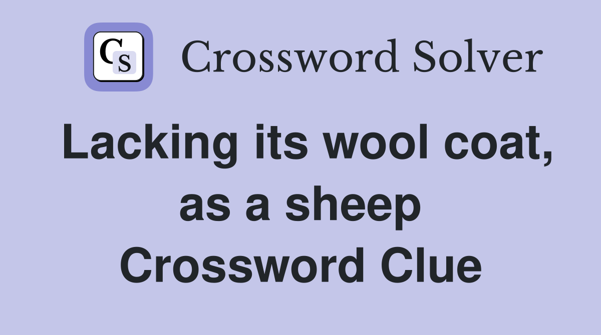 Lacking its wool coat, as a sheep Crossword Clue
