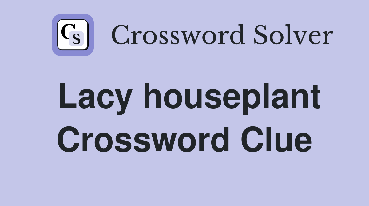 Lacy houseplant Crossword Clue