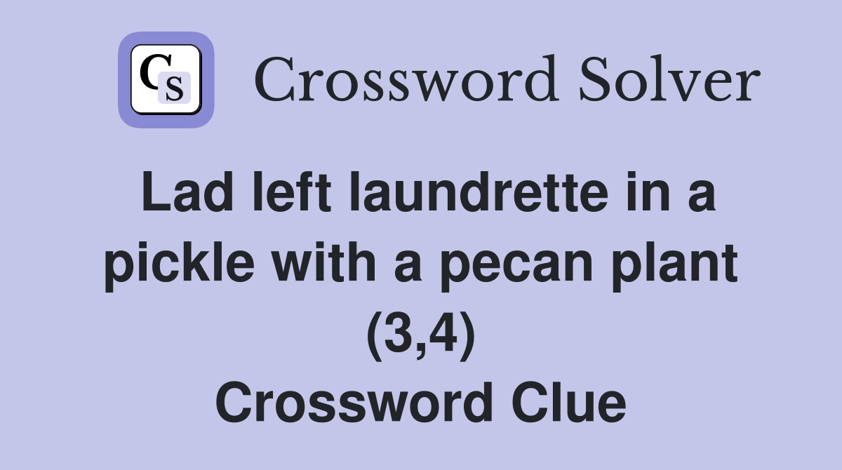 Lad left laundrette in a pickle with a pecan plant (3,4) Crossword Clue