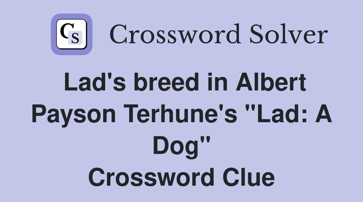 Lad's breed in Albert Payson Terhune's "Lad: A Dog" Crossword Clue
