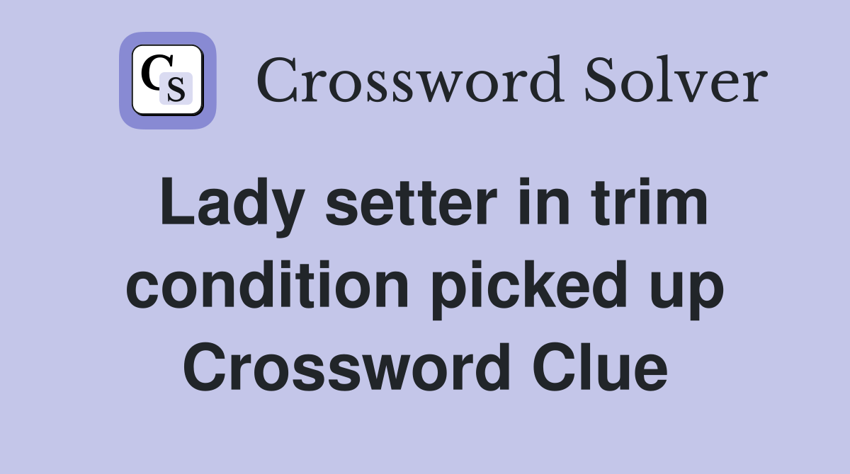 Lady setter in trim condition picked up Crossword Clue