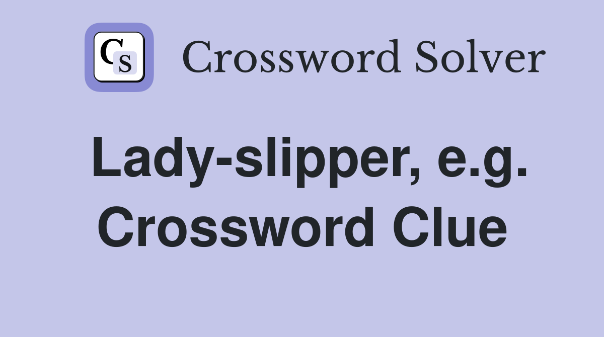 Lady-slipper, e.g. Crossword Clue