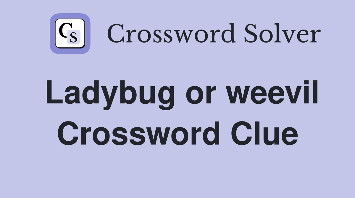 Ladybug or weevil Crossword Clue
