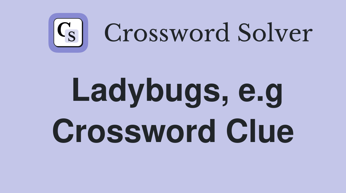Ladybugs, e.g Crossword Clue