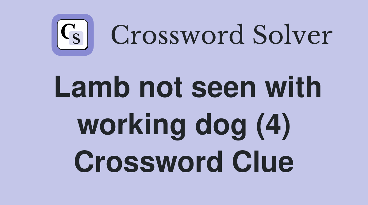 Lamb not seen with working dog (4) Crossword Clue