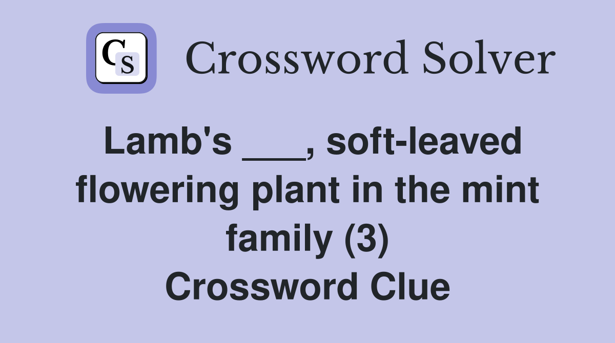 Lamb's ___, soft-leaved flowering plant in the mint family (3) Crossword Clue