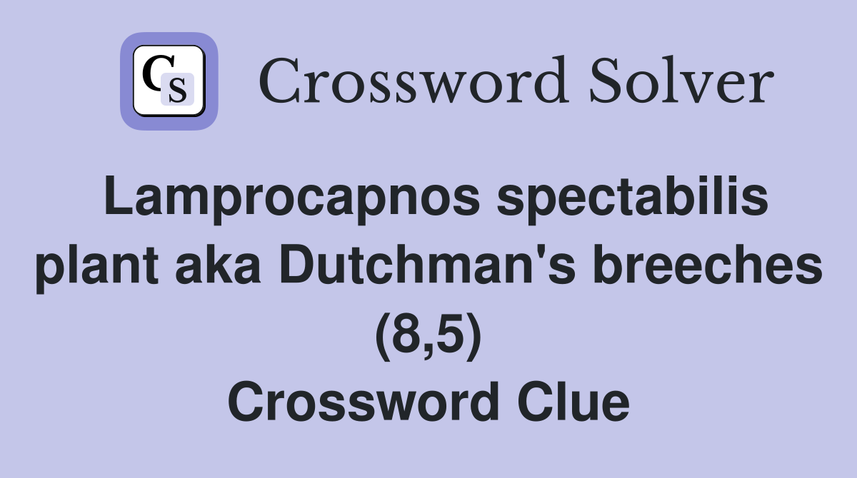 Lamprocapnos spectabilis plant aka Dutchman's breeches (8,5) Crossword Clue