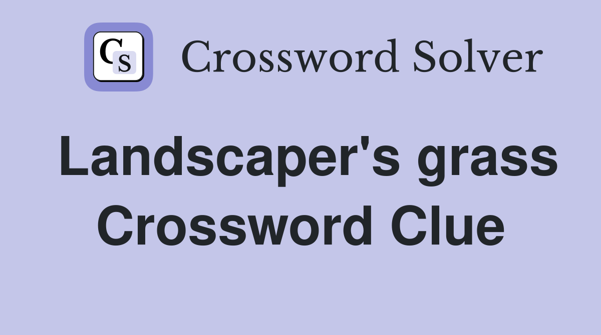 Landscaper's grass Crossword Clue