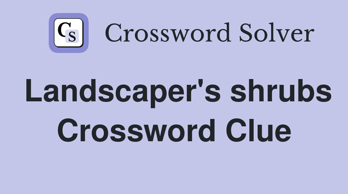 Landscaper's shrubs Crossword Clue