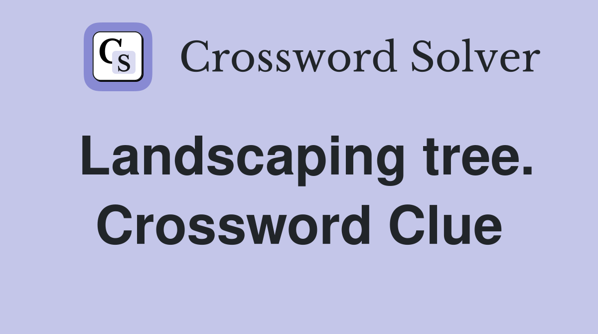 Landscaping tree. Crossword Clue