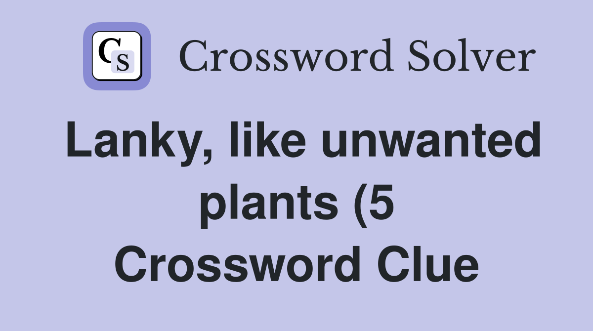 Lanky like unwanted plants (5) Crossword Clue Answers Crossword Solver Lanky like unwanted plants (5) Crossword Clue Answers Crossword Solver