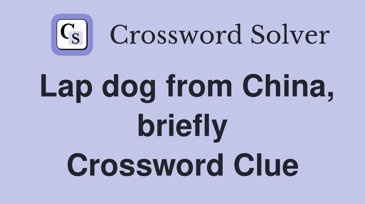 Lap dog from China, briefly Crossword Clue
