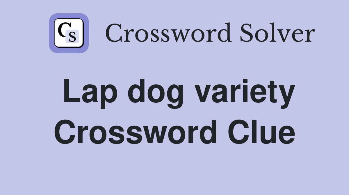 Lap dog variety Crossword Clue