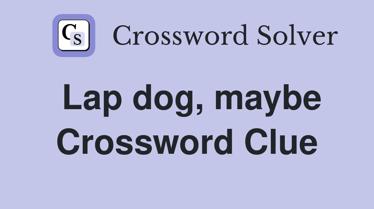 Lap dog, maybe Crossword Clue