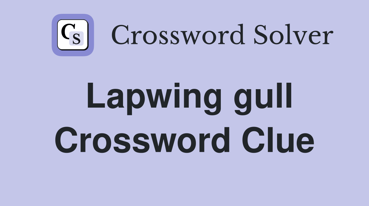Lapwing gull Crossword Clue