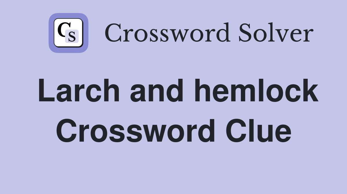 Larch and hemlock Crossword Clue