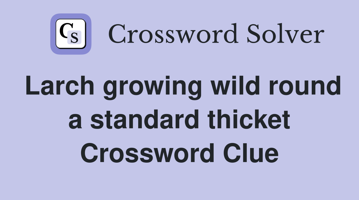 Larch growing wild round a standard thicket Crossword Clue