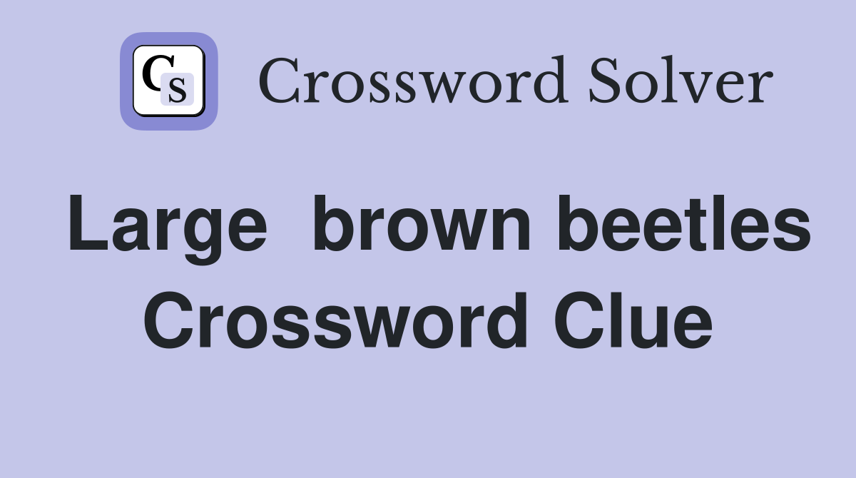 Large  brown beetles Crossword Clue