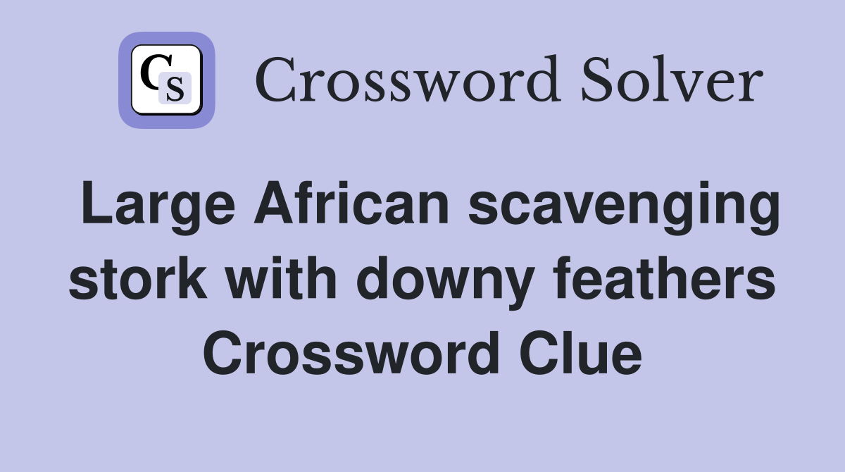 Large African scavenging stork with downy feathers Crossword Clue