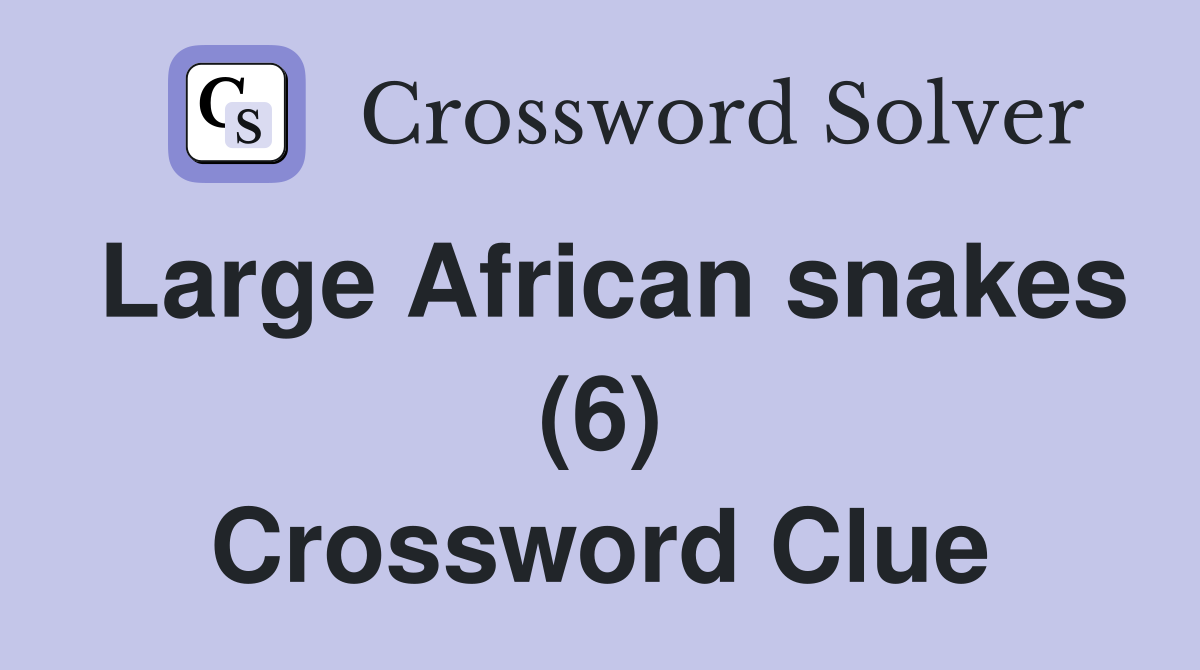 Large African snakes (6) Crossword Clue
