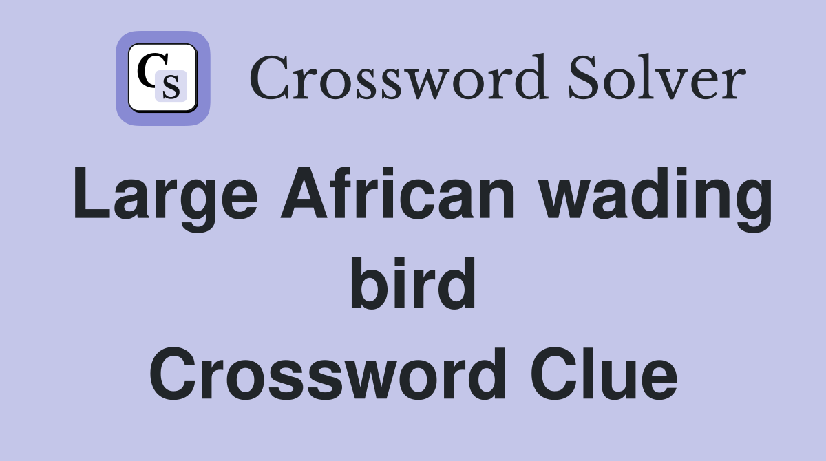 Large African wading bird Crossword Clue