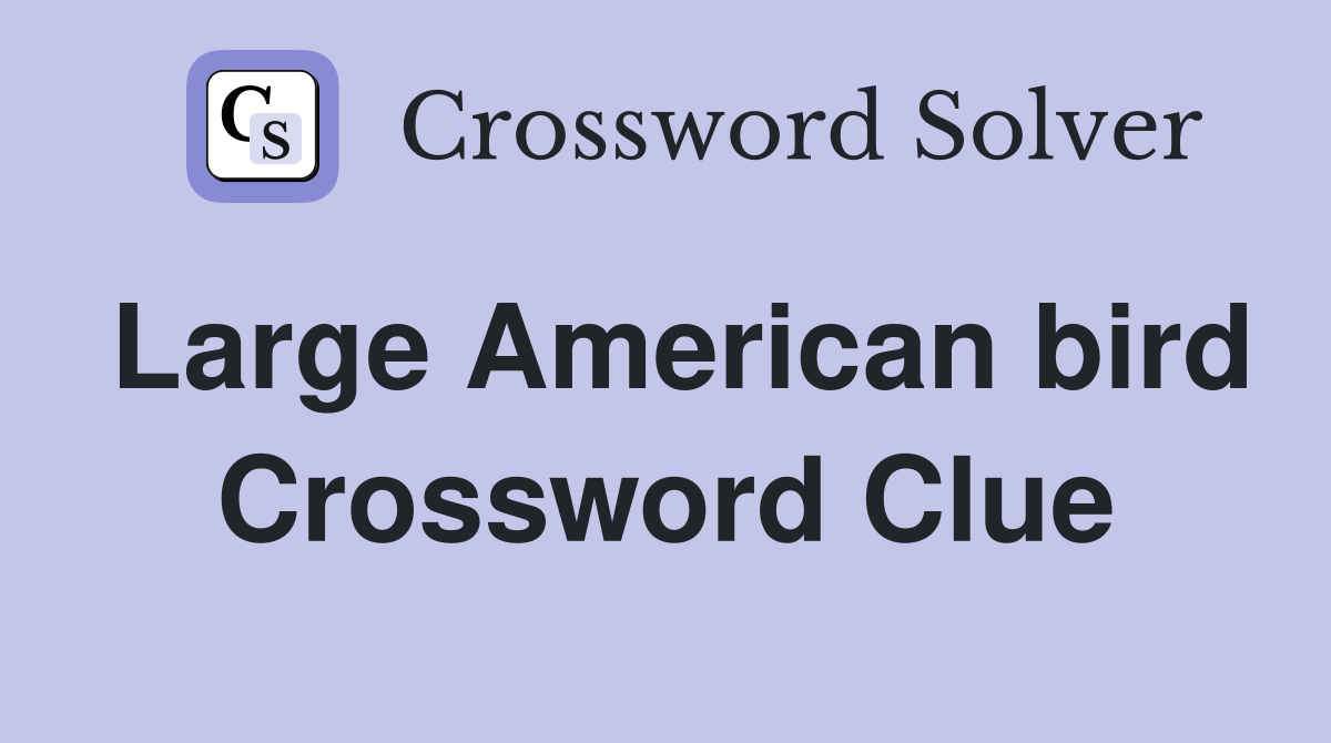 Large American bird Crossword Clue