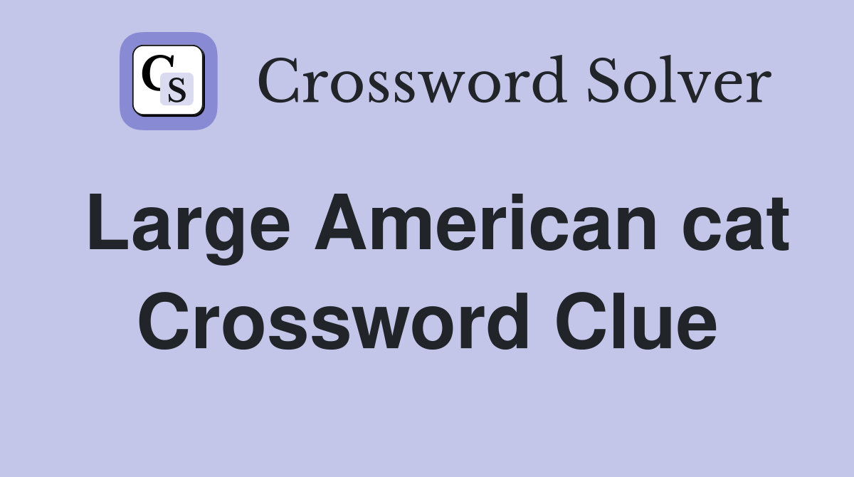 Large American cat Crossword Clue