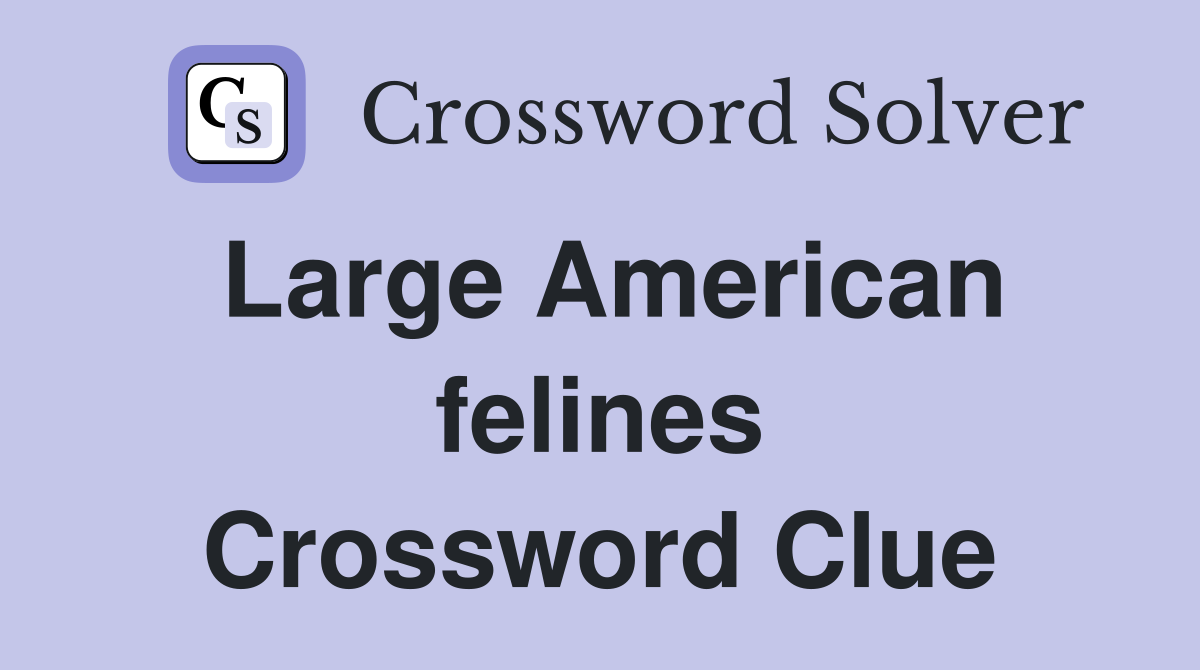 Large American felines Crossword Clue