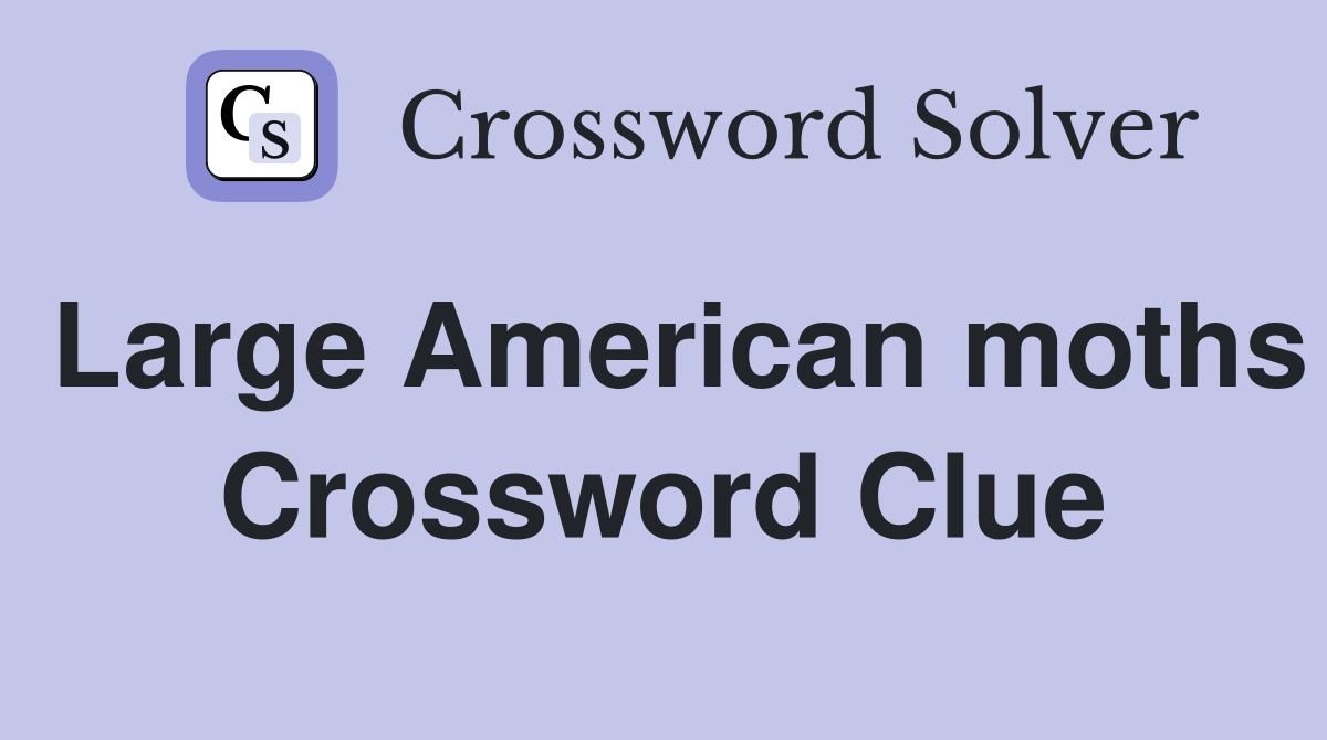 Large American moths Crossword Clue