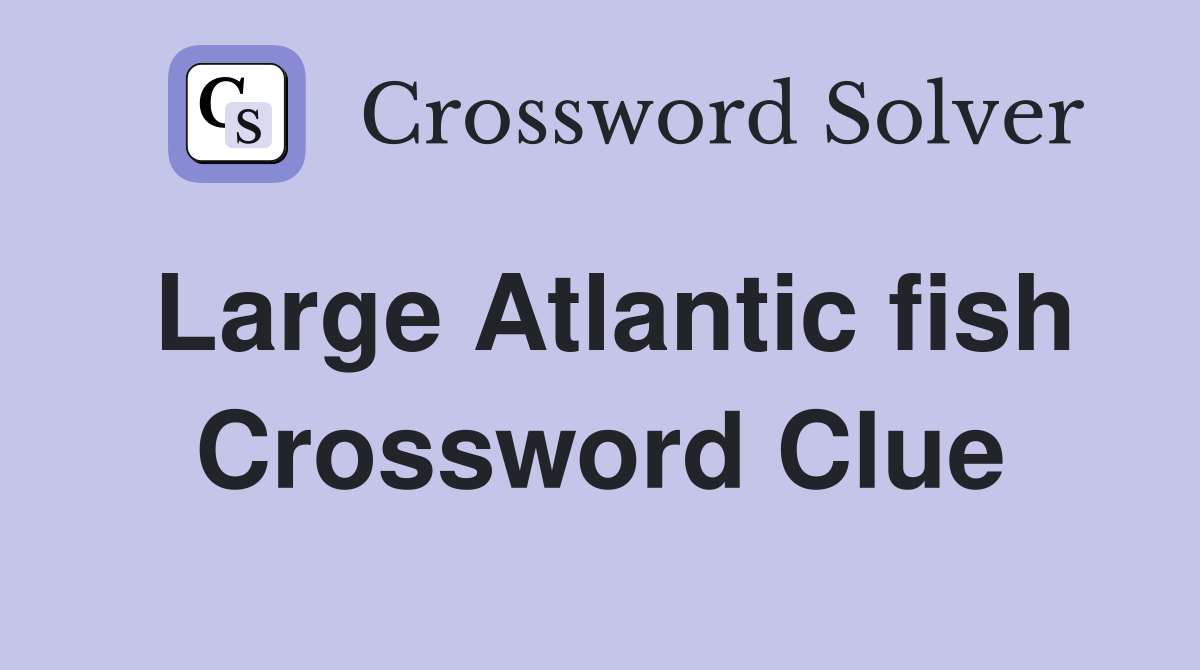 Large Atlantic fish Crossword Clue