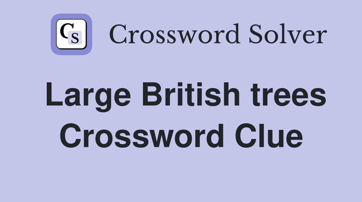 Large British trees Crossword Clue