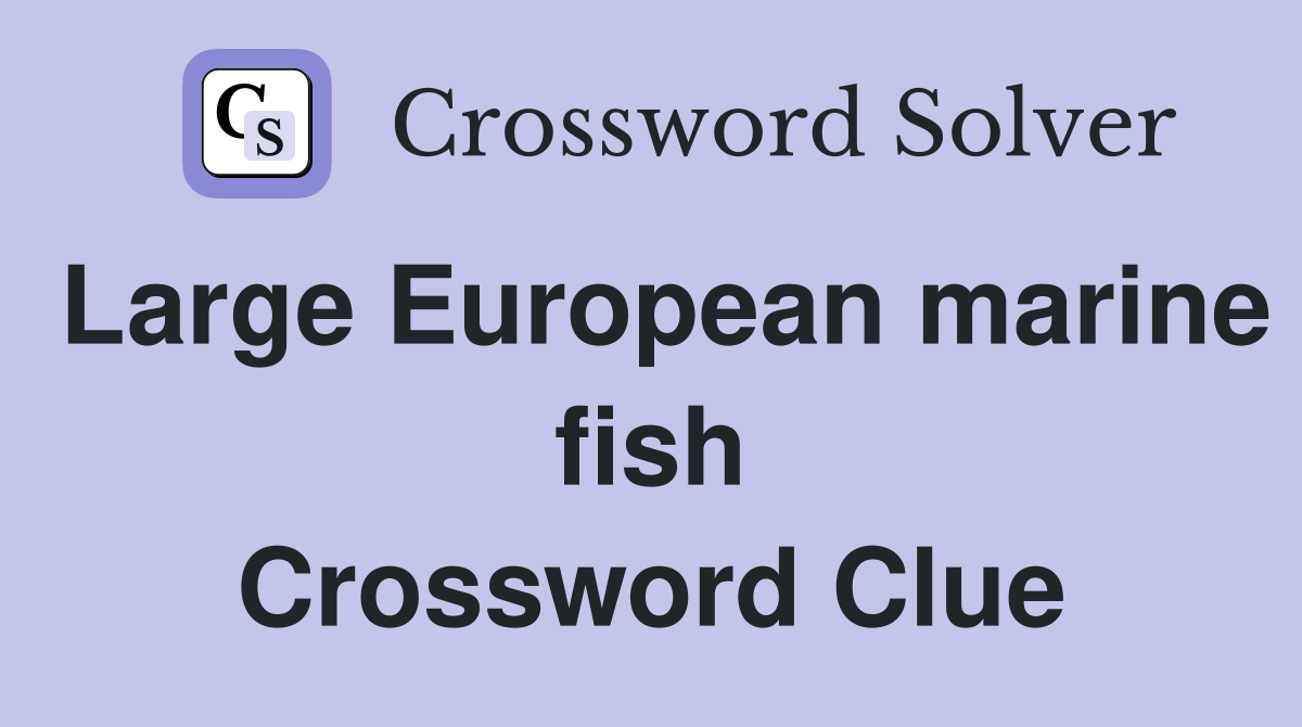 Large European marine fish Crossword Clue