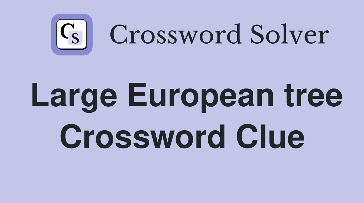 Large European tree Crossword Clue