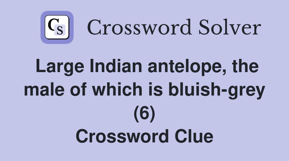 Large Indian antelope, the male of which is bluish-grey (6) Crossword Clue