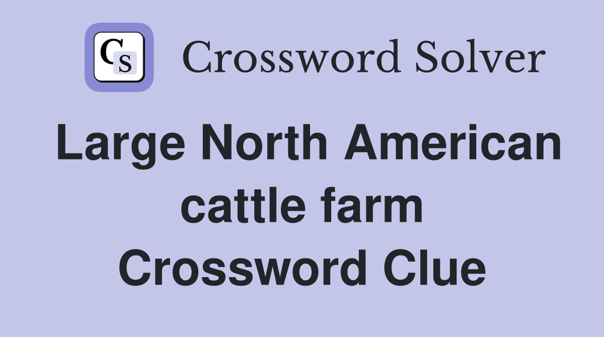 Large North American cattle farm Crossword Clue