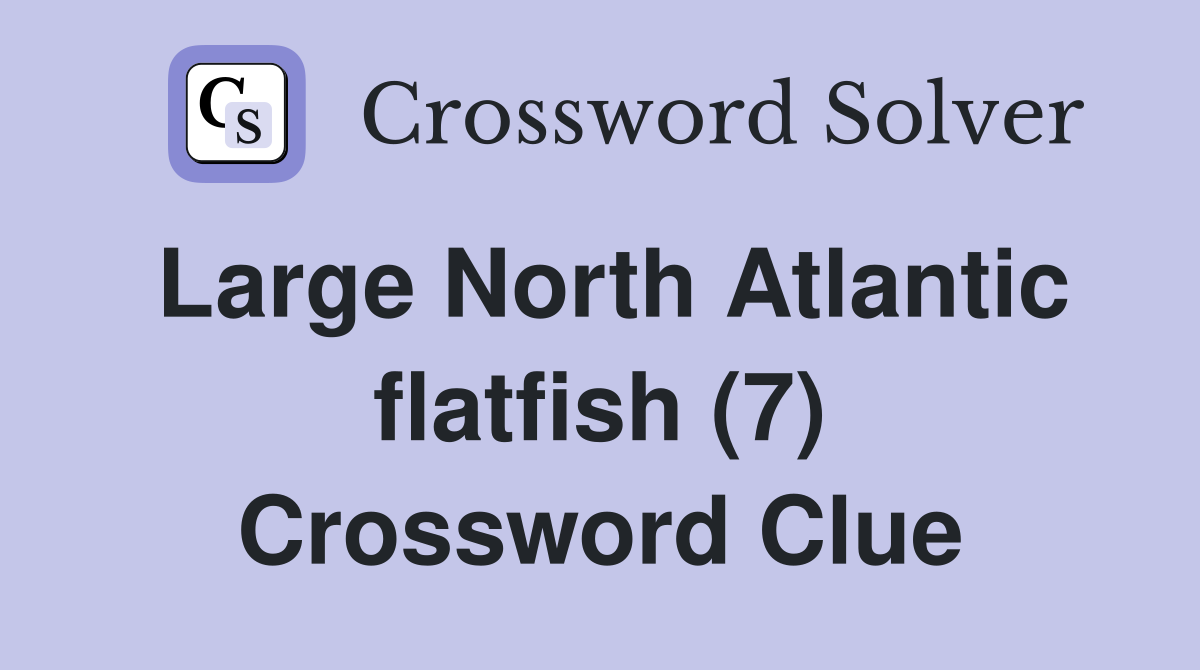 Large North Atlantic flatfish (7) Crossword Clue