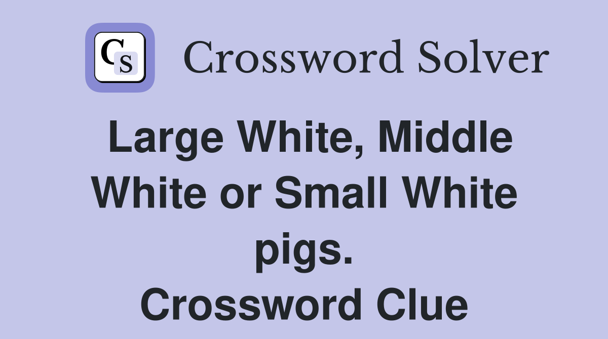 Large White, Middle White or Small White pigs. Crossword Clue