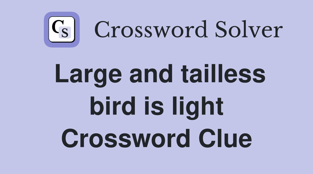 Large and tailless bird is light Crossword Clue