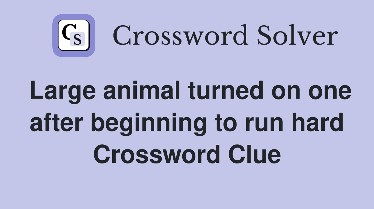 Large animal turned on one after beginning to run hard Crossword Clue