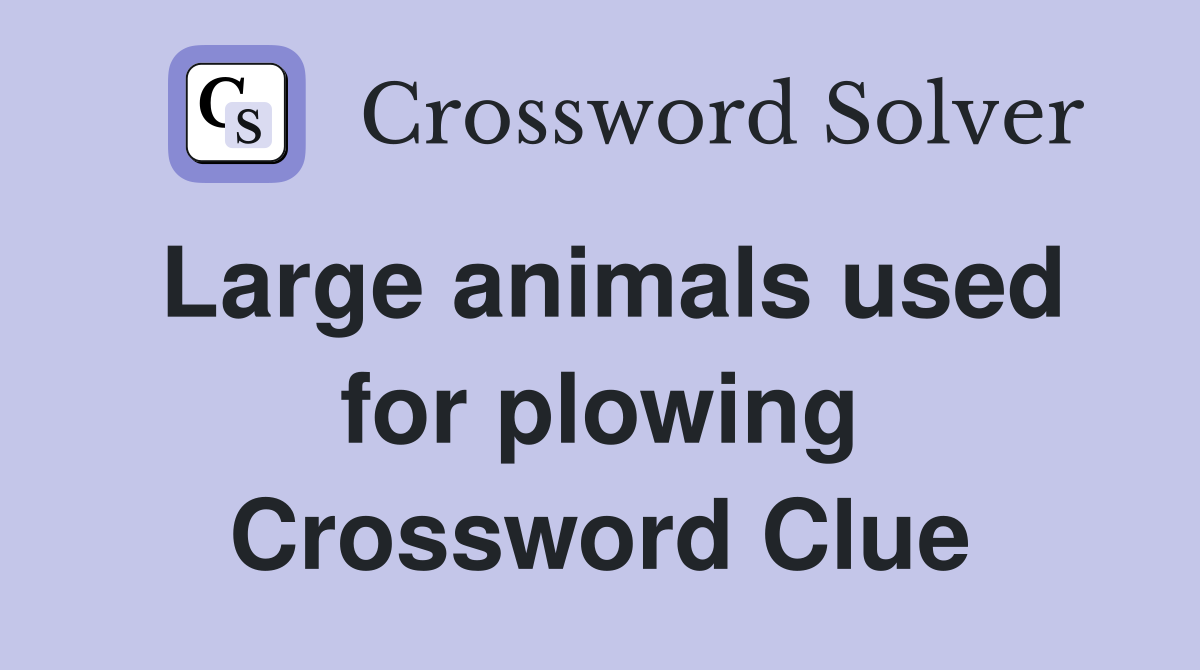 Large animals used for plowing Crossword Clue