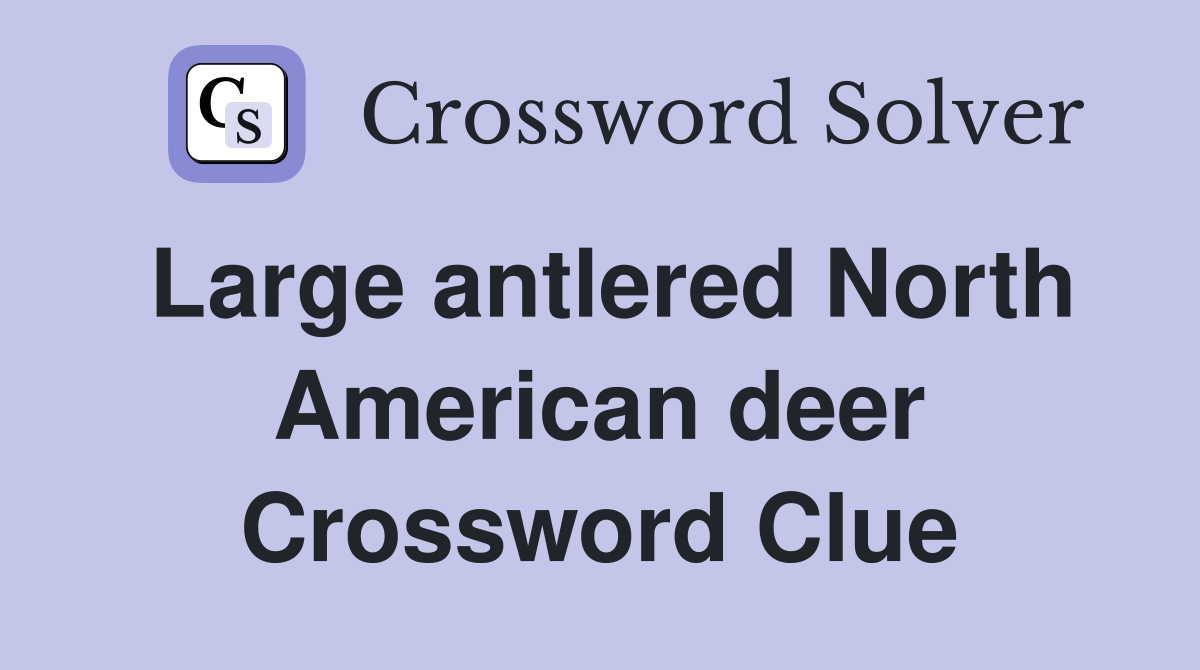 Large antlered North American deer Crossword Clue