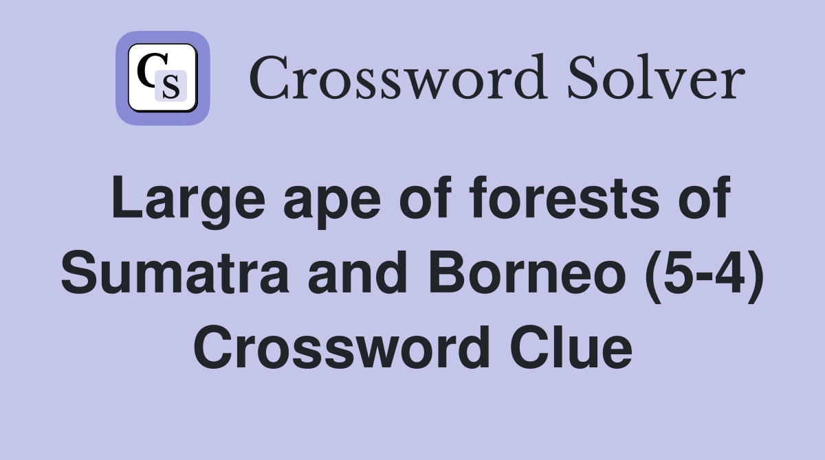 Large ape of forests of Sumatra and Borneo (5-4) Crossword Clue