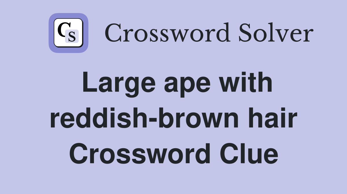 Large ape with reddish-brown hair Crossword Clue